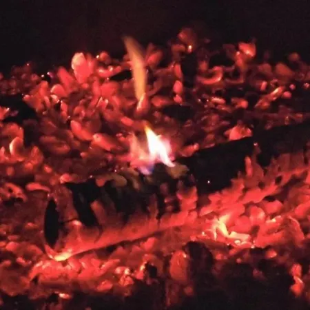 Haus Schmetterling 펜션