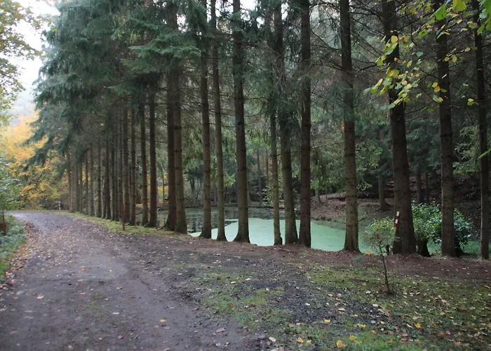 Haus Schmetterling 펜션 *