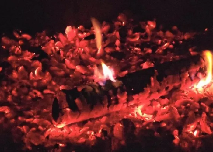 Haus Schmetterling 펜션